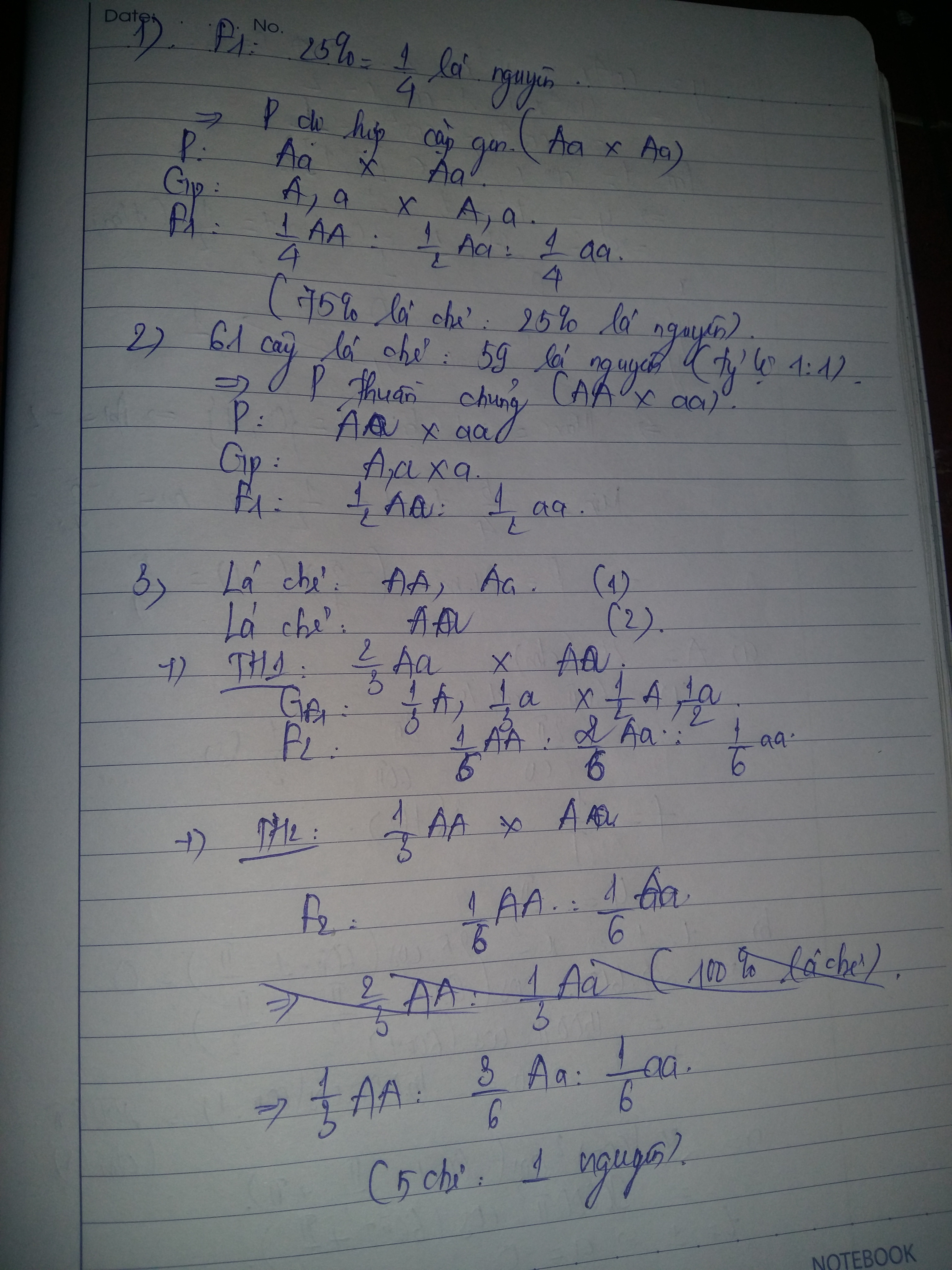 Hỏi đáp VietJack