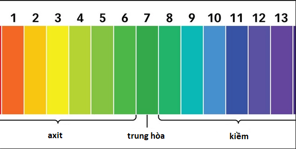 Hỏi đáp VietJack