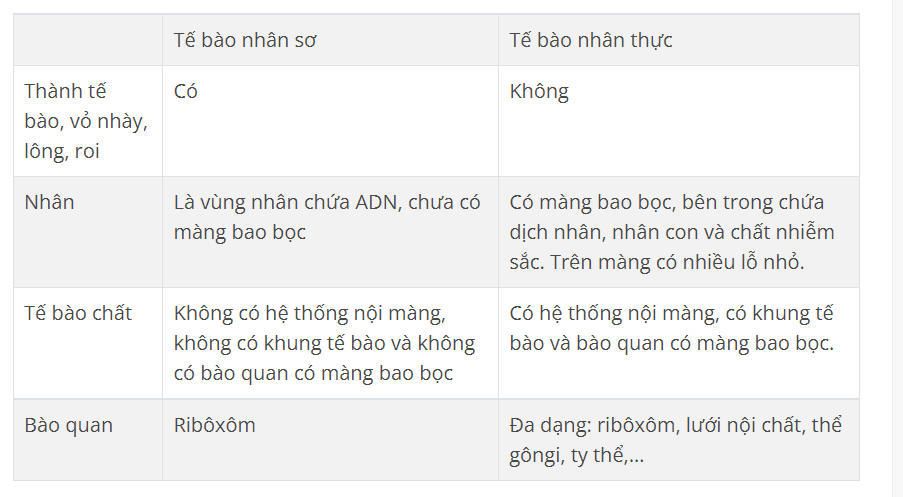 Hỏi đáp VietJack