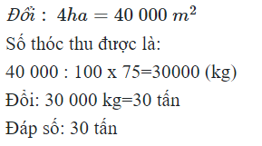 Hỏi đáp VietJack