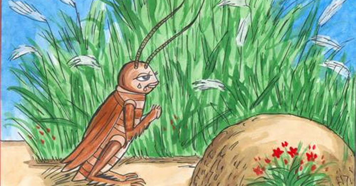 Hỏi đáp VietJack