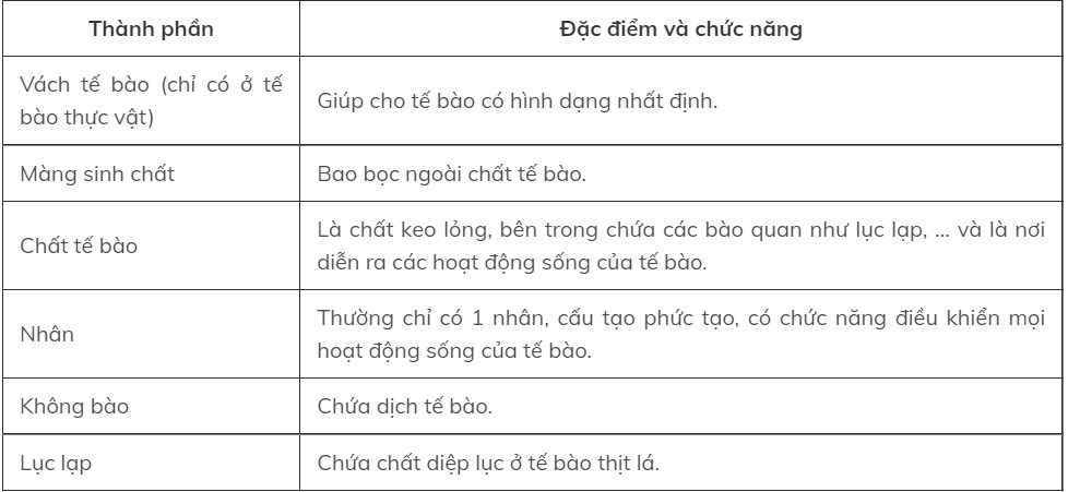 Hỏi đáp VietJack