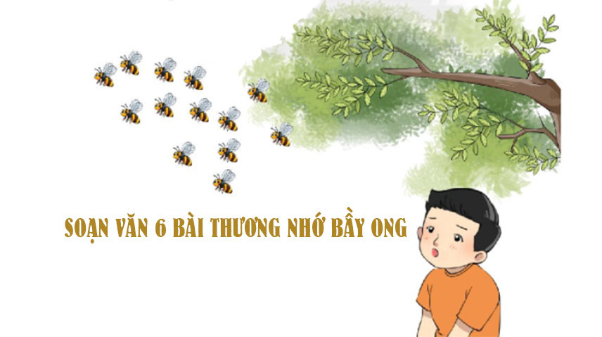Hỏi đáp VietJack