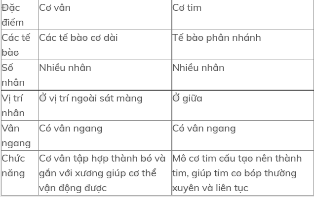 Hỏi đáp VietJack