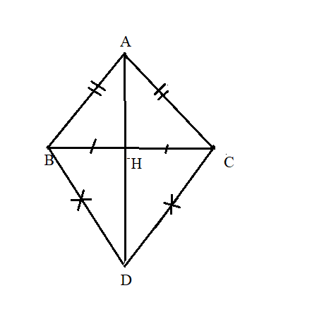 Hỏi đáp VietJack