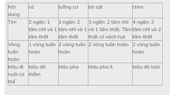 Hỏi đáp VietJack