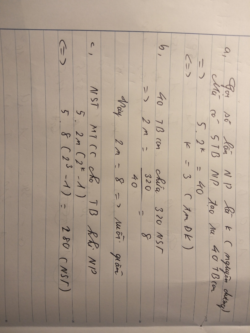 Có 5 tế bào nguyên phân, 1 số lần bằng nhau và đã tạo ra được 40 tế bào con có chứa 320 NST. Hãy xác định
 a) số lần nguyên phân của tế bào trên
 b) số NST 2n của loài, tên của loài 
c) số NST môi trường  đã cung cấp cho tế bào nguyên phân