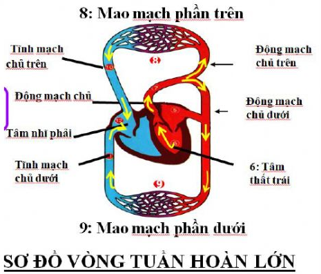 Hỏi đáp VietJack
