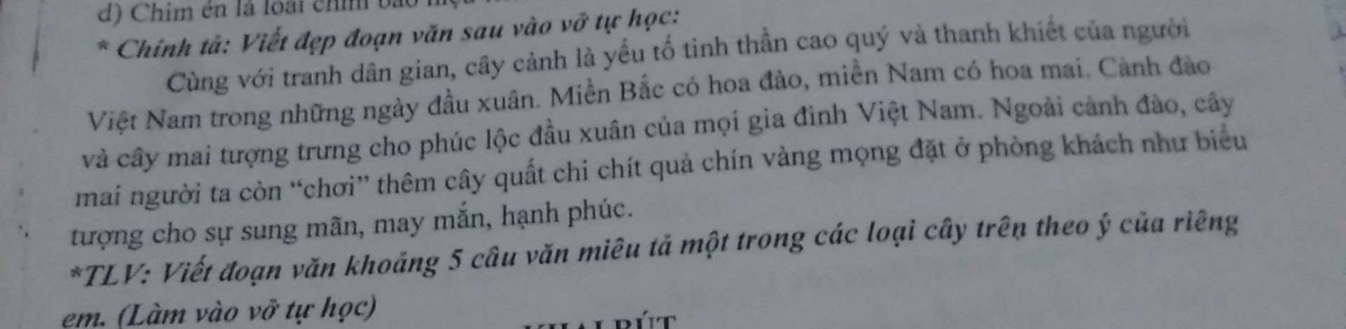 Cùng với tranh giân gian,cây cảnh là yếu tố tinh thần cao quý và thanh khiết của người Việt Namtrong những ngày đầu xuân. Miền bắc có hoa đào,miền Nam có hoa mai.Cành đào và cây mai tượng trưng cho phúc lộc đầu xuân của mọi gia đình Việt Nam.Ngoài cành đào,cây mai người ta còn''chơi'' thêm cây quất chi chít quả chín vàng mọng đặt ở ngoài phòng khách như biểu tượng cho sự sung mãn,may mắn,hạnh phúc.
TLV:Viết đoạn văn khoảng 5 câu văn miêu tả một trong các loại cây trên theo ý riêng em.