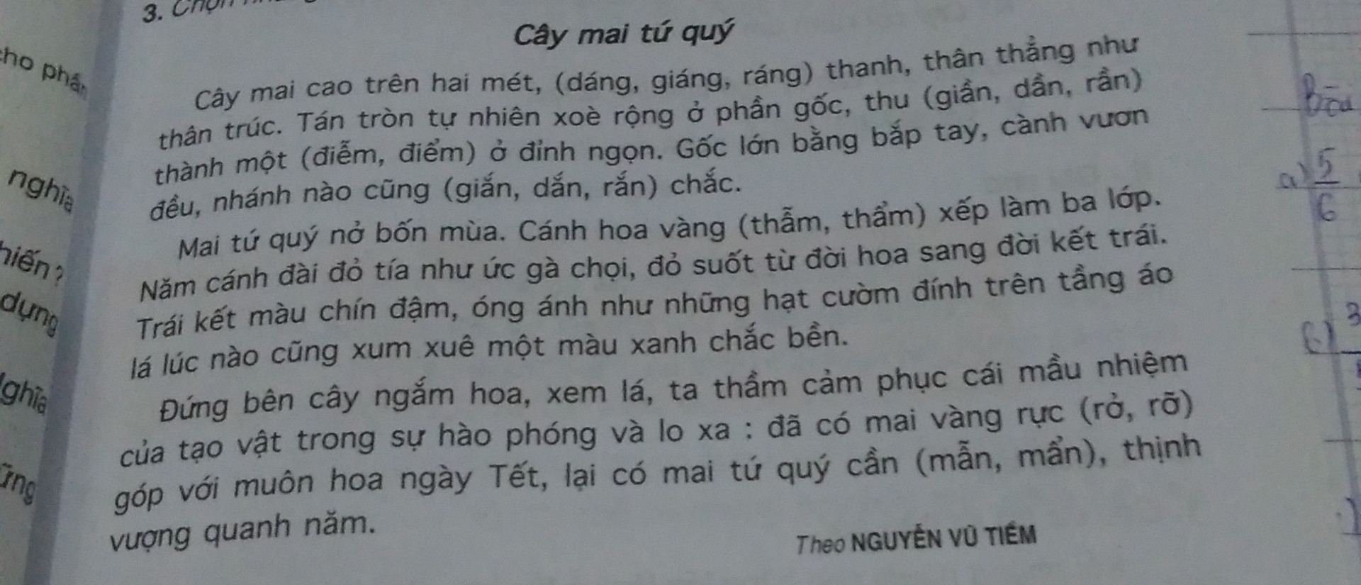 Đọc bài: Cây mai tứ quý(trang 23;sách giáo khoa tiếng việt tập 2Tìm v