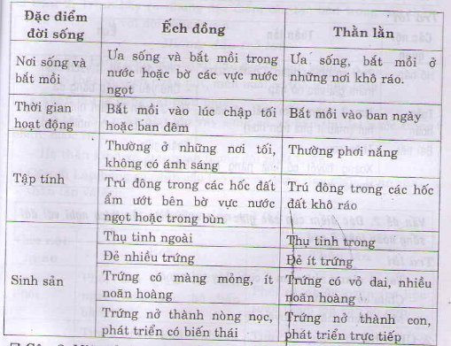 Hỏi đáp VietJack