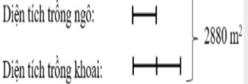 Một thửa ruộng hình bình hành có độ dài đáy là 60m chiều cao bằng 45 độ dài đáy