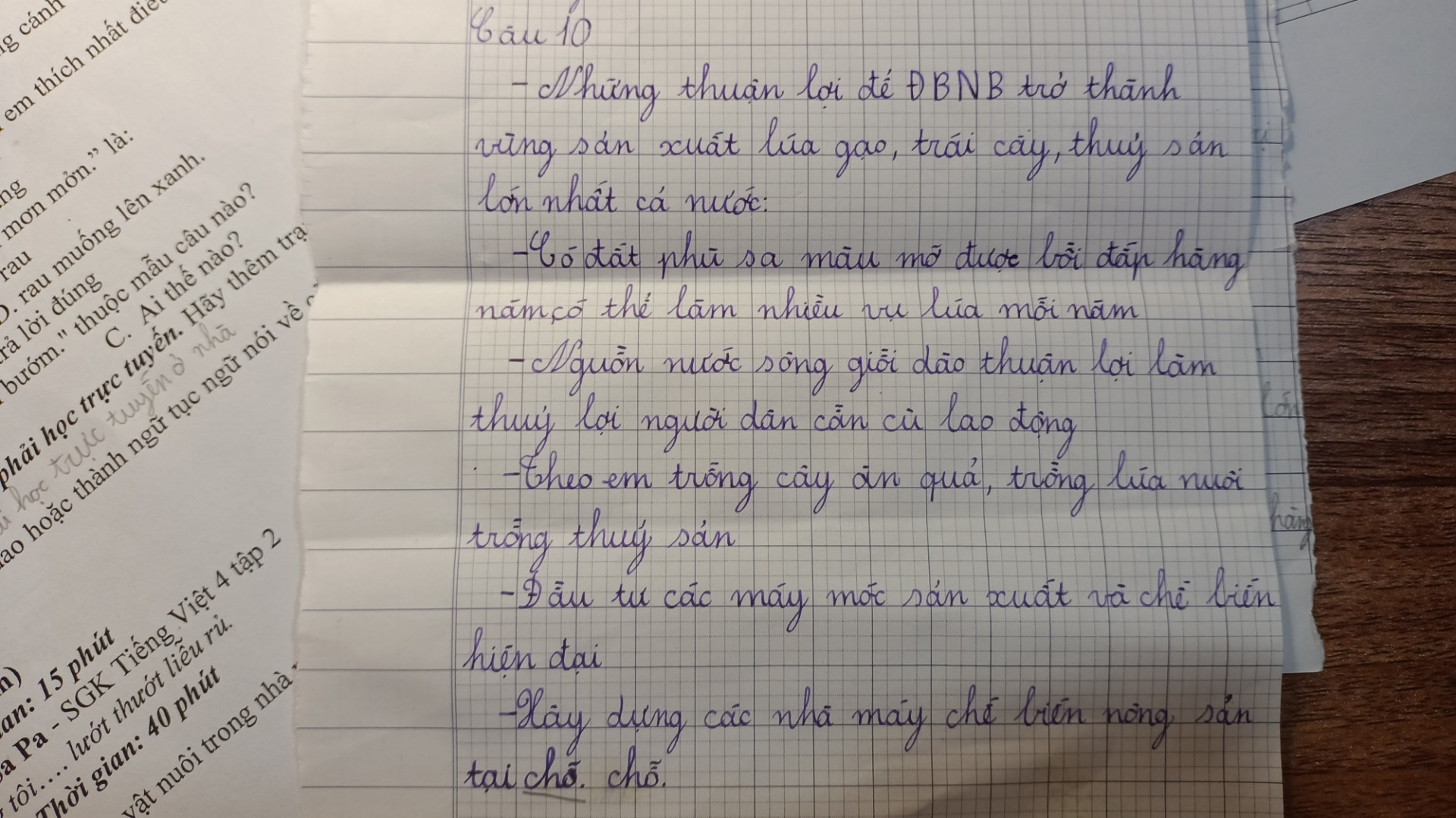 Hãy nêu những thuận lợi để đồng bằng Nam Bộ trở thành vùng sản xuất lúa gạo, trái cây và thủy sản lớn nhất đất nước