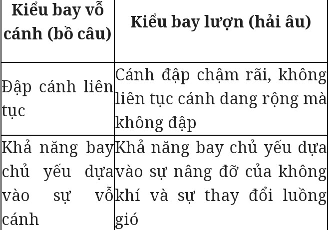 Phân biệt kiểu bay vỗ cánh và kiểu bay lượn