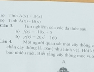Giúp mình với ạ mình đang cần gấp. Cảm ơn nhiều ạ