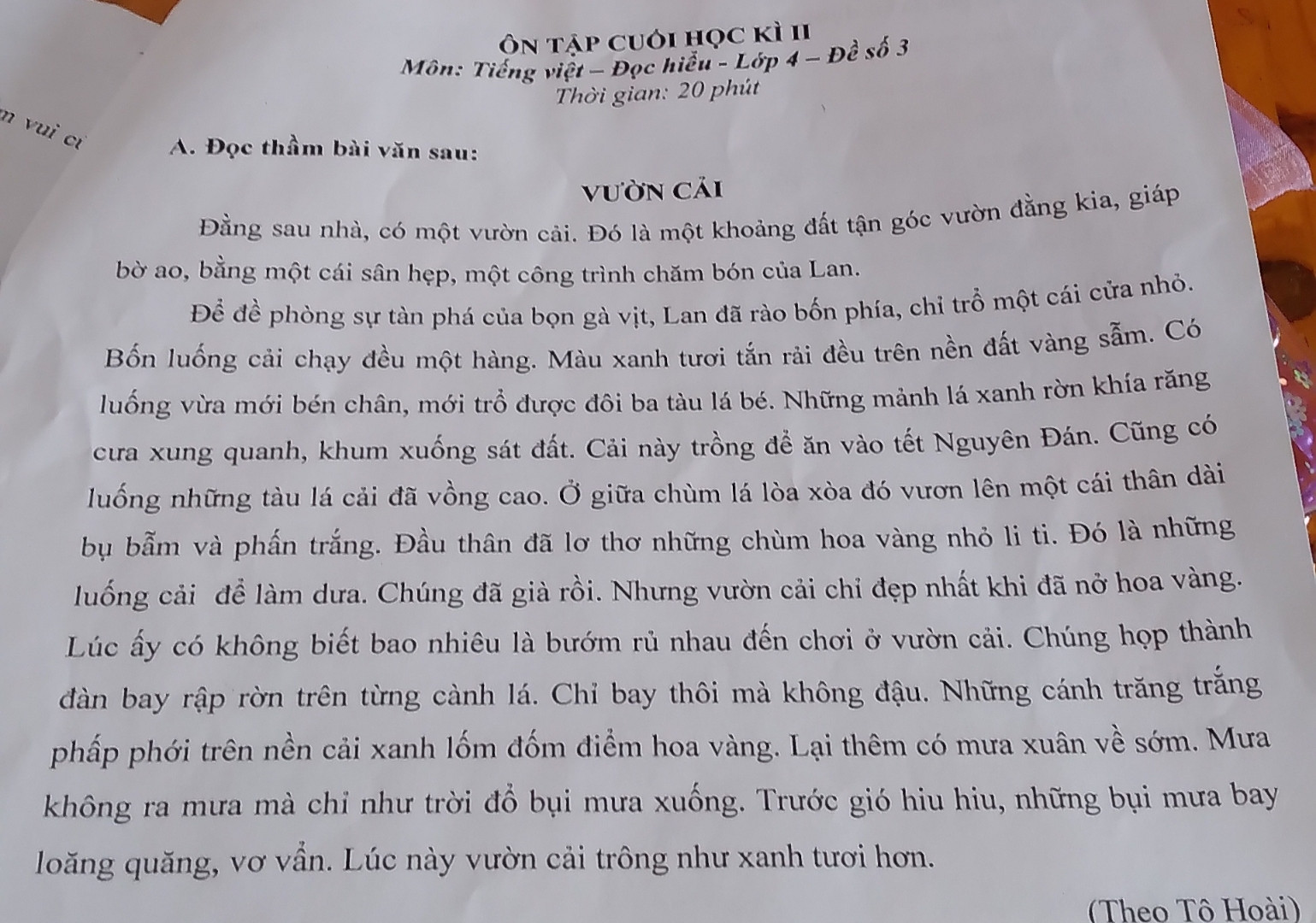 "Anh đội viên nhìn Bác 
Bác nhìn ngọn lửa hồng 
Lòng vui sướng mênh mông 
Em thức luôn cùng Bác
Khổ thơ trong bài nào , của ai ?