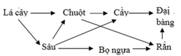 Hỏi đáp VietJack