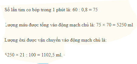 Hỏi đáp VietJack