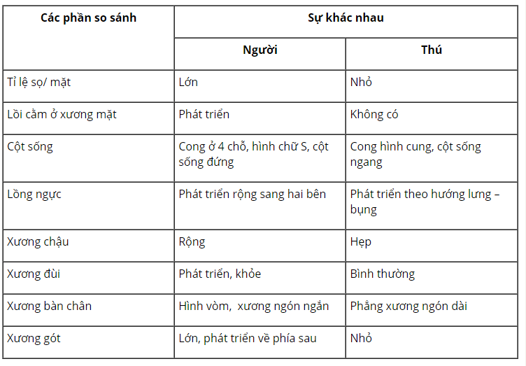 Hỏi đáp VietJack
