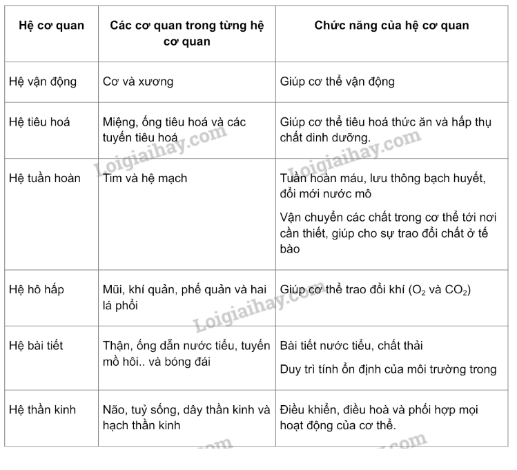 Hỏi đáp VietJack