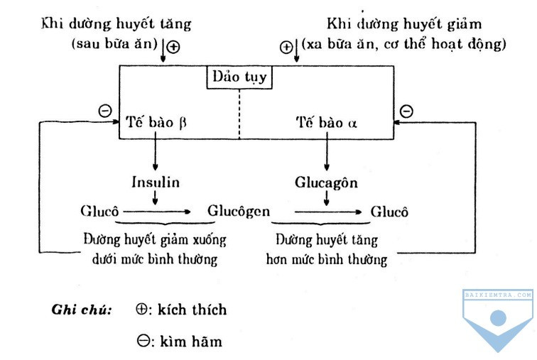 Hỏi đáp VietJack