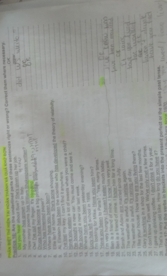 Practice 19: Put the verb into the correct form,past perfect (I had done) or past simple (I did)
12) Alan (hardly/ prepare).......….for dinner when her husband (go).......home
13) Before I (watch)........TV,I (do).......my homework
14) After I ( wash).....my clothes,I (sleep)........
15) After she(finish)....... breakfast she left the house
16)Before he came to Warsaw he(live).....in Prague
17)He (spend)......... three years in Tahiti when he was a child
18) He told me he (never be).........to Australia before
19) He told me he (never see)....... anything like that
20) I (write)........a long letter to my mother yesterday
21) I couldn't get in because I (lose)......my keys
22) I felt really stupid because I (make) ......a lot of mistakes 
23) I paid for the window because my son(break).............
24) I told him I didn't know who (steal) .......his pen
25) I was feeling very thirsty because I (drink) .......too much alcohol the night before
26) The doctor examined her leg and(find).......that she had broken it
27) When I saw her I knew we (never meet)....... before
