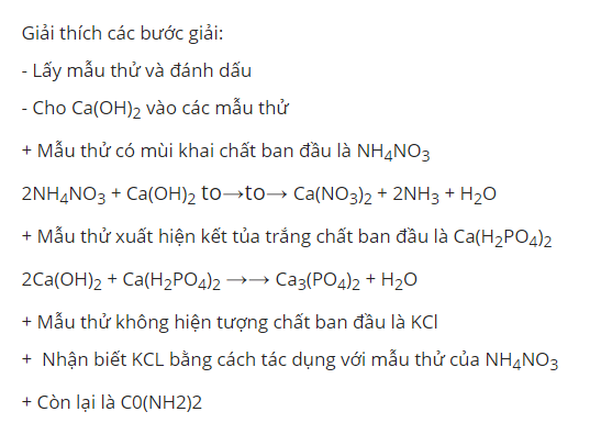 Hỏi đáp VietJack