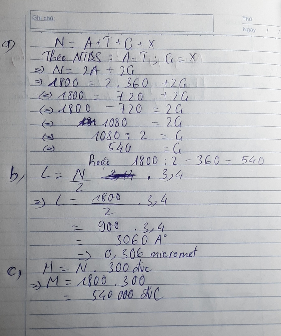 Một gen có 1800 Nu và số loại A=360
a, Tính G của gen
b, Tính chiều dài của gen
c, Tính số lượng phân tử ADN