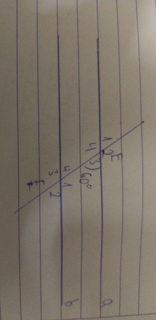 Biết a//b E3=60°
Tính F4,F2,F1
Hình vẽ ở phần trả lời