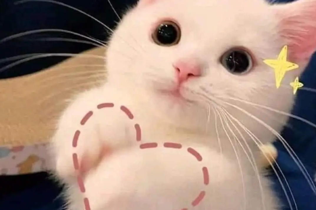 Học sinh lớp 6A khi xếp thành 3 hàng, 4 hàng hay 9 hàng đều vừa đủ. Biết số học