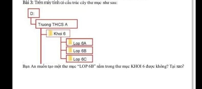 Em đã sử dụng mạng xã hội như thế nào để phục vụ việc học tập