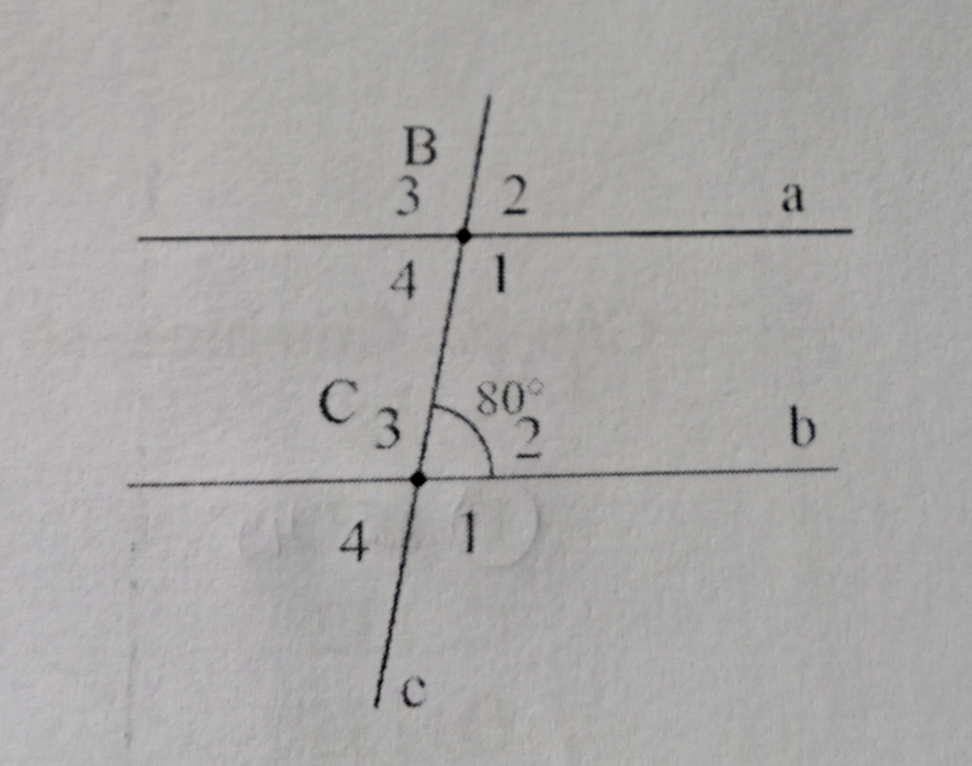 Cho hình vẽ, biết a//b và C2=80 độ
a. Tính số đo góc C3; C4
b. Tính số đo góc B1; B2; B3