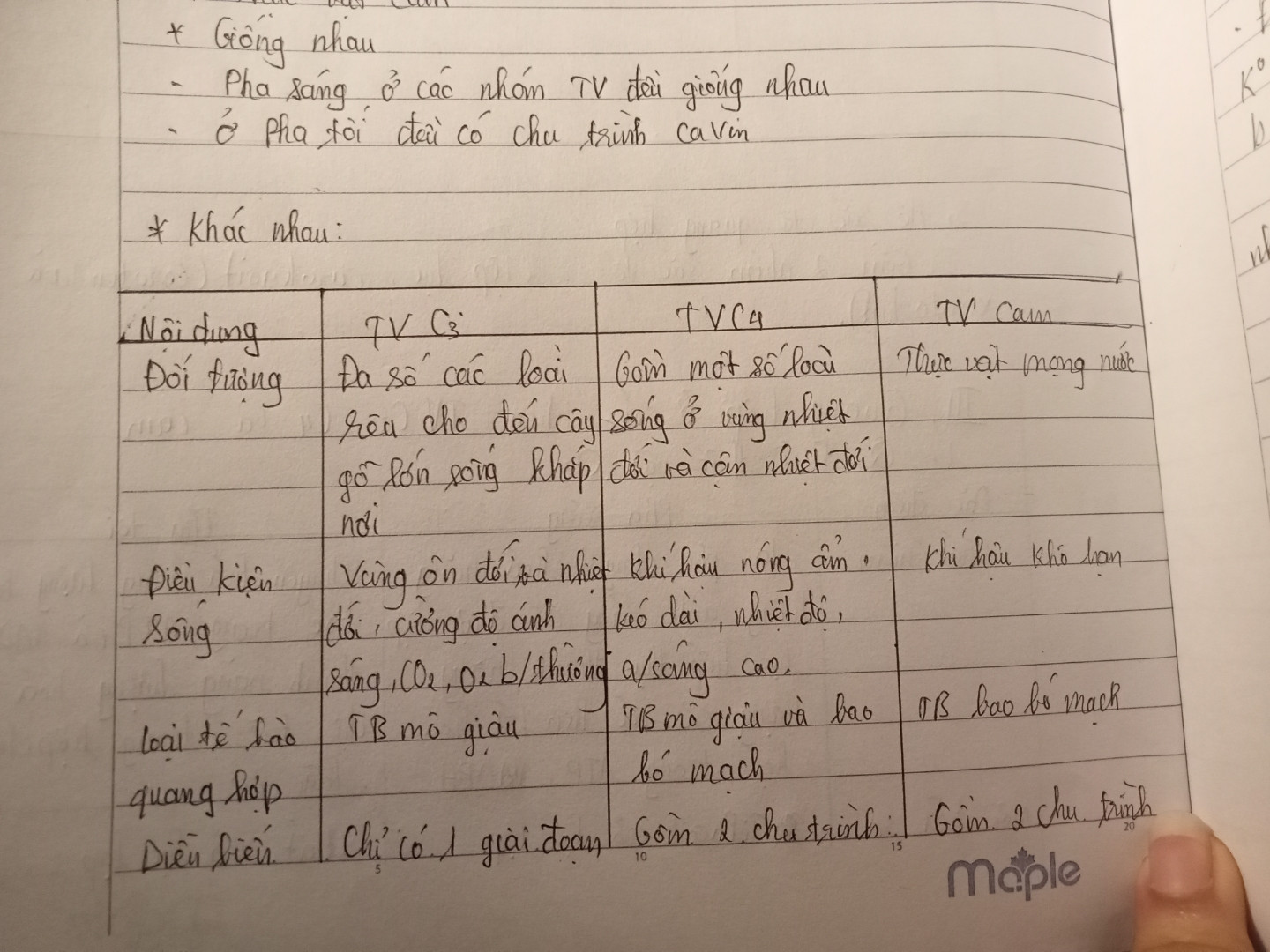 Phân biệt quang hợp của C3, C4, CAM.