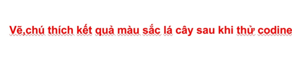 Vẽ,chú thích kết quả màu sắc lá cây sau khi thử codine