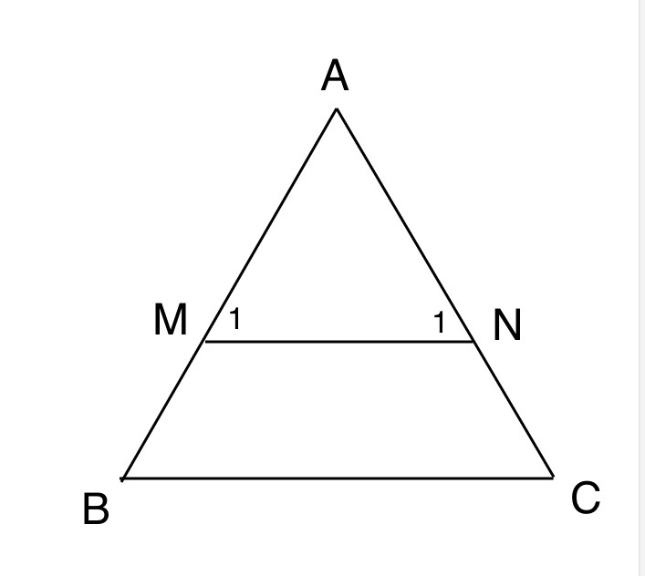 Hỏi đáp VietJack