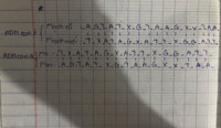 3. Một đoạn AND có cấu trúc như sau:

Mach 1: -A-G-T-A-T-X-G-T-A-A-G-X-X-T-A-A- 
Mach 2: -T-X-A-T-A-G-X-A-T-T-X-G-G-A-T-T- Viết cấu trúc của hai đoạn AND con được tạo thành sau khi đoạn AND mẹ nói trên kết thúc quá trình nhân đội.