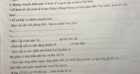 Nét noiir bật của quan hệ quốc tế trong nữa sau thế kỉ XX là gì