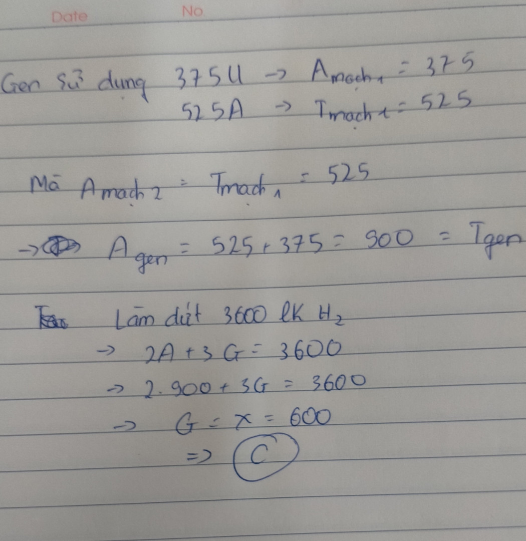 Khi tổng hợp một mARN ,gen đã sử dụng  375U và 525A ; Đồng thời làm đứt 3600 liên kết hiđrô. Số Nu cùng loại gen là : 
 A.A= T = 600; G= X = 900( Nu) 
 B.A= T= 525; G= X = 575
 C.A= T= 900; G= X = 600
 D.A= T = 480; G = X = 720