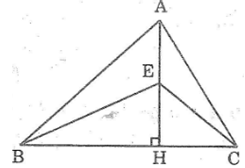 Hỏi đáp VietJack