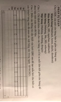 Điền các thông tin cần thiết vào lưới QBE sau để tạo mẫu hỏi cho biết có các khách hàng nào đã mua các mặt hàng nào trong ngày 10/10/2021