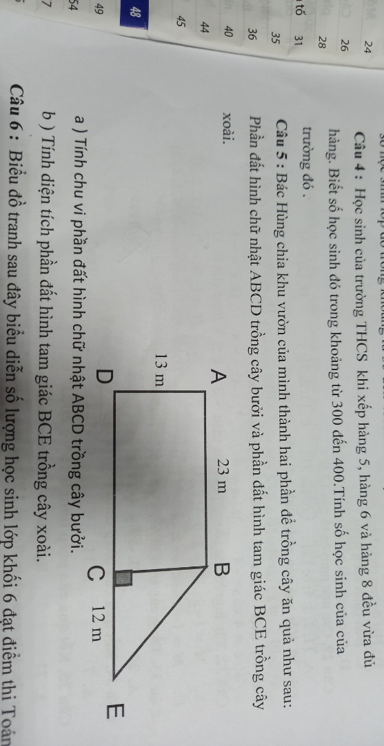 Bác Hùng chia khu vườn của mình thành hai phần để trồng cây ăn quả như sau phần đất hình chữ nhật ABCD trồng cây bưởi và phần đất hình tam giác bce trồng cây xoài
A)tính chu vi phần đất hình chữ nhật ABCD trồng cây bưởi 
B)tính diện tích phần đất hình tam giác BCE
Hình ở bình luận