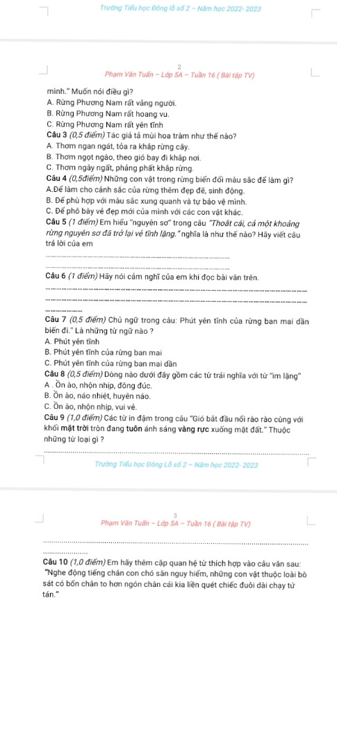 Nêu noi dung chinh cua tung doan