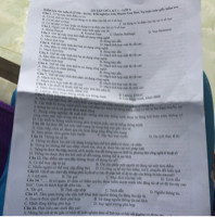 Thông tin số là gì?