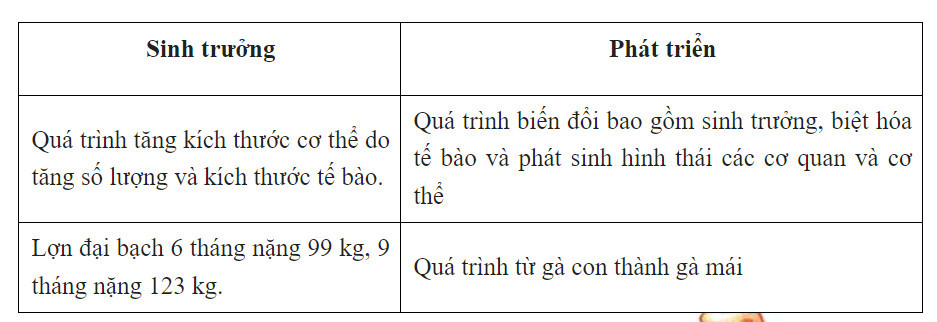 Hỏi đáp VietJack