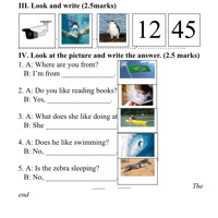 does
visit
visiting
monkey
monkeys
do
What
Where
are
is
 
1. Is the ______________ eating a banana? – Yes, it is.
2. _____________ your mom taking photos? – No, she isn’t.
3. What ______________ Leo like doing at the beach? – He likes surfing.
4. What do you like doing? – I like _____________ family.
5. _____________ is she from? – She’s from Korea.