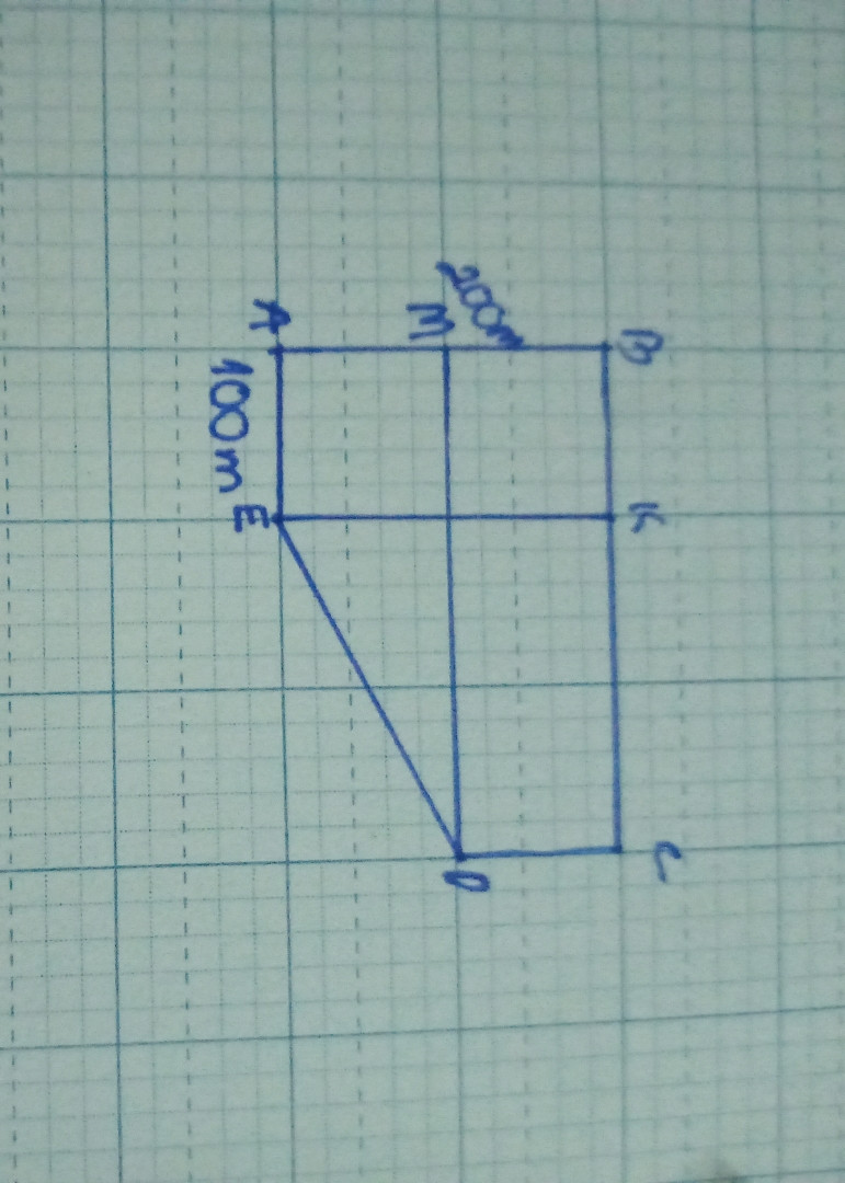 Thửa ruộng của Bác Tám có diện tích bao nhiêu m²