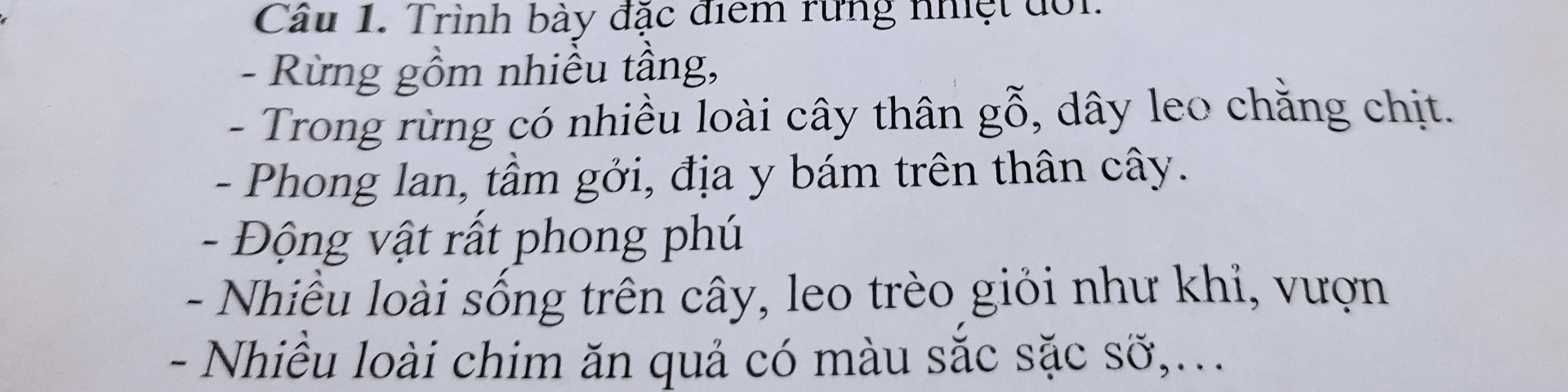 Nêu đặc điểm của rừng nhiệt đới?