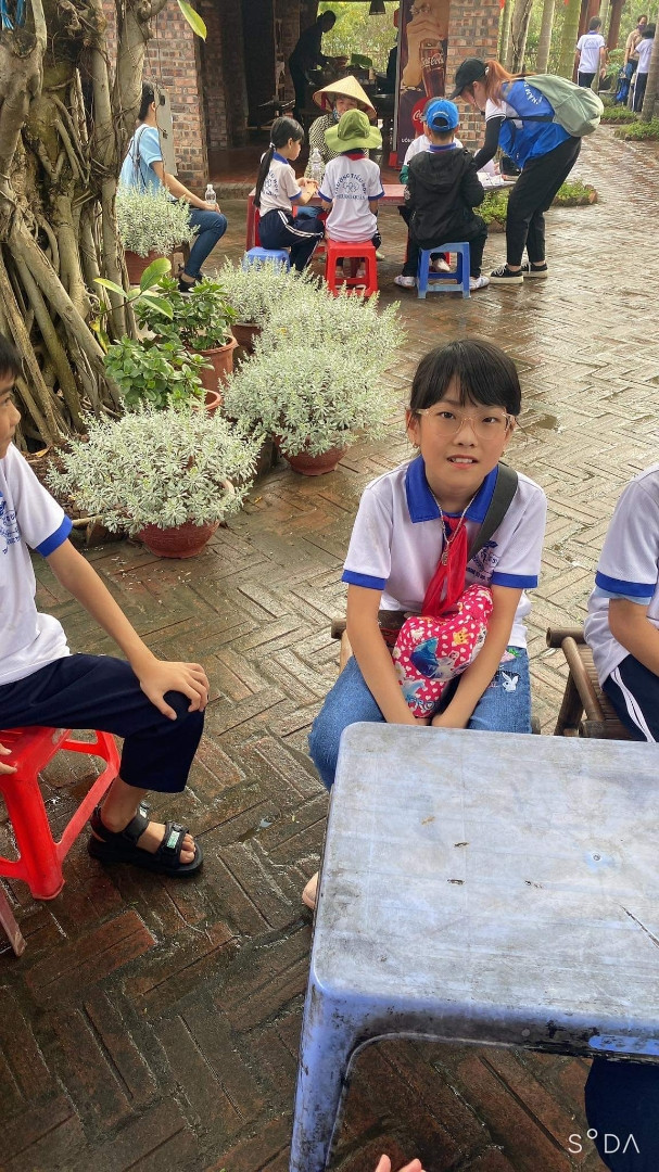 Work and study “tiếng việt là”?