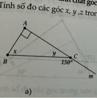 Chụp