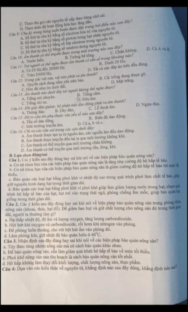 Những món ăn ẩm thực ở phú yên